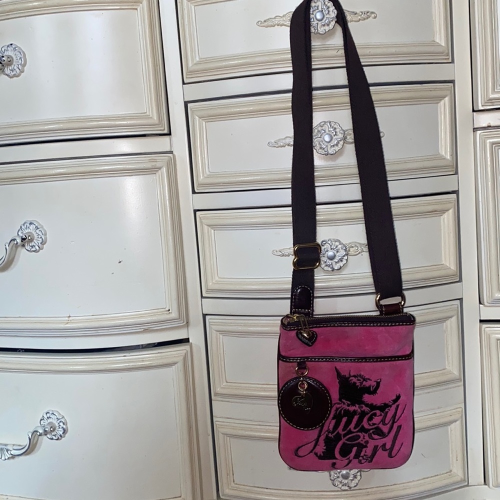 Juicy Couture vintage handbag